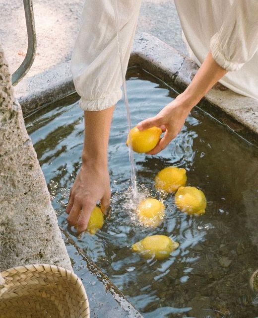 Rustic Roots & Juicy Fruits Harvest Basket